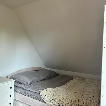 W Lesnym Raju * Sikorzyno