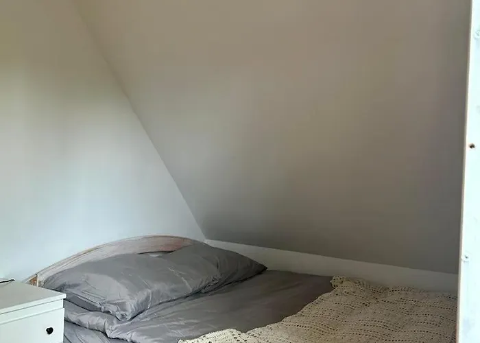 W Lesnym Raju * Sikorzyno