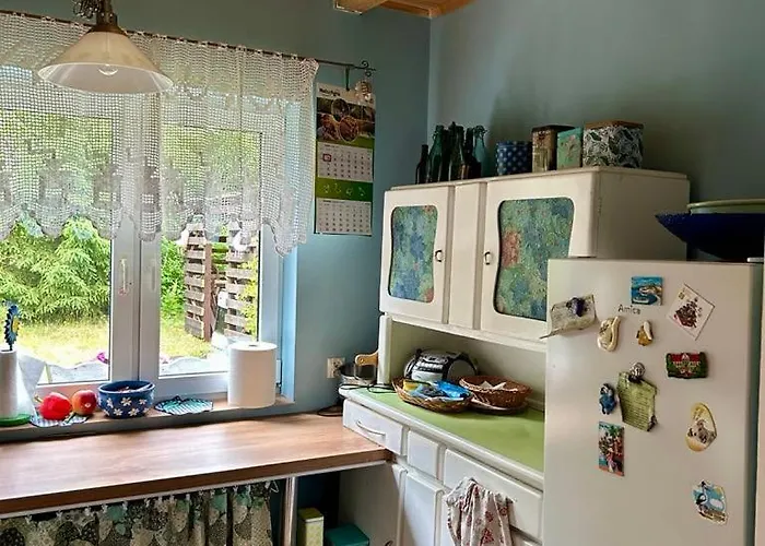 W Lesnym Raju * Sikorzyno